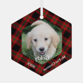 マイ初めてのクリスマスプレイドペットの写真 ガラスオーナメント (裏面)