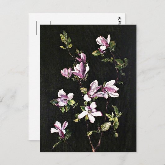 マイ日本のアン絵画ノースのマグノリア。 ポストカード (正面/裏面)