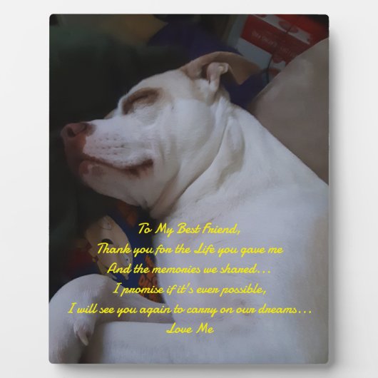 マイ最高のフレンド フォトプラーク (正面)