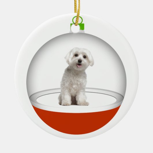 マイ最高のフレンド – SRF セラミックオーナメント (正面)