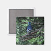 マイ物3 013 マグネット (正面/裏面)