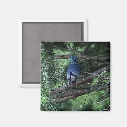 マイ物3 013 マグネット (正面/裏面)