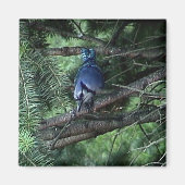 マイ物3 013 マグネット (正面)