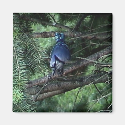 マイ物3 013 マグネット (正面)