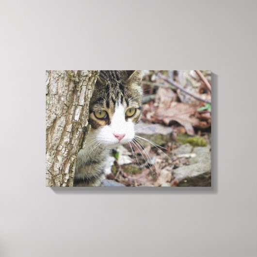 マイ狩り猫 キャンバスプリント (正面)