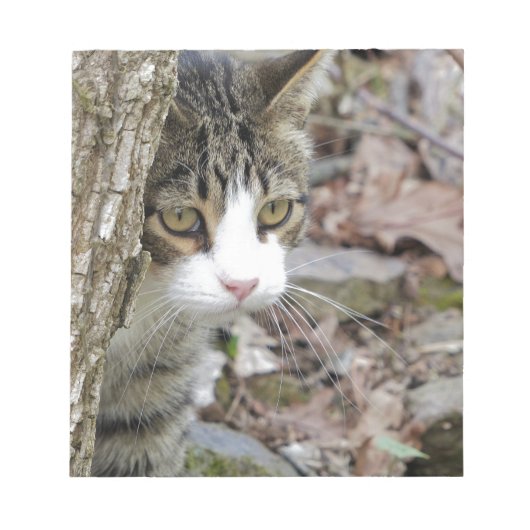 マイ狩り猫 ノートパッド (正面)