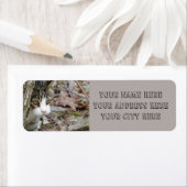 マイ狩り猫 ラベル (インサイチュ)