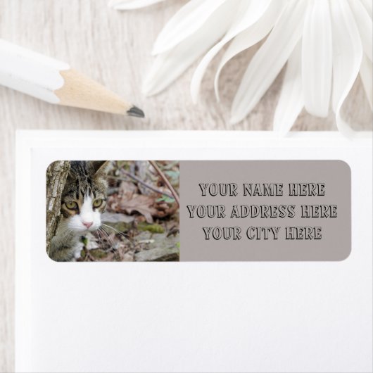 マイ狩り猫 ラベル (インサイチュ)