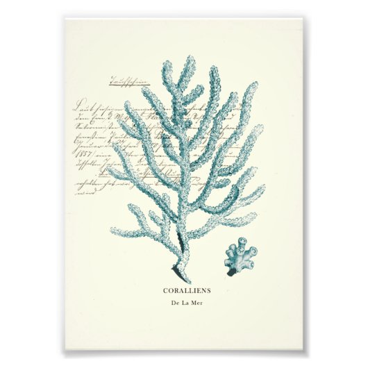 マイ航海のル フォトプリント            (正面)