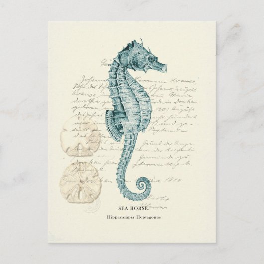 マイ航海のル ポストカード (正面)