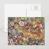 マイ足 ポストカード (正面/裏面)