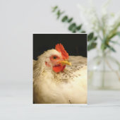 マイ・ボーイ ポストカード (スタンド正面)