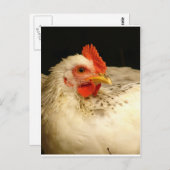 マイ・ボーイ ポストカード (正面/裏面)