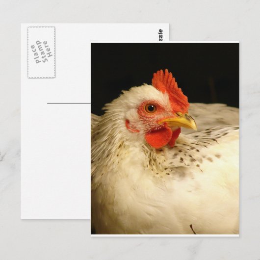 マイ・ボーイ ポストカード (正面/裏面)