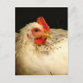 マイ・ボーイ ポストカード (正面)