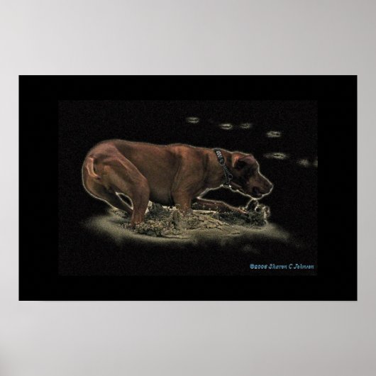 マイ・レット ポスター (正面)