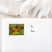 マイ（昆虫）オオカバマダラ、モナークバタフライクリスマスラベル ラベル (インサイチュ)