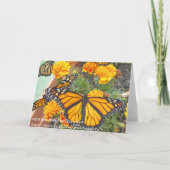 マイ(昆虫)オオカバマダラ、モナーク蝶グリーティングカード カード (裏面)