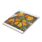 マイ(昆虫)オオカバマダラ、モナーク蝶 – タイル (側面)