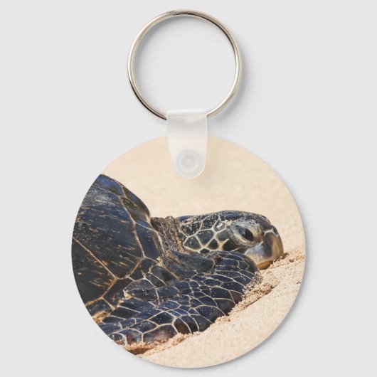 マウイのタートルキーチェーン キーホルダー (正面)