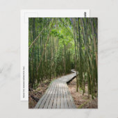 マウイのハレアカラ国立公園ピファイワイル ポストカード (正面/裏面)