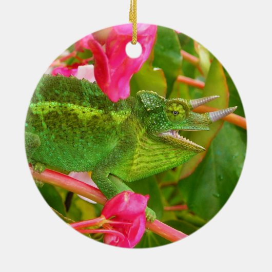 マウイの島ハワイの野生のジャクソンのカメレオン セラミックオーナメント (裏面)