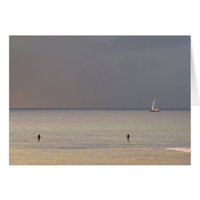 マウイの日没のかい寄宿生 (正面横)