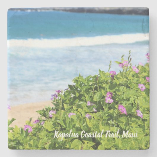 マウイの沿岸道の紫色によってはコースターが開花します ストーンコースター (正面)