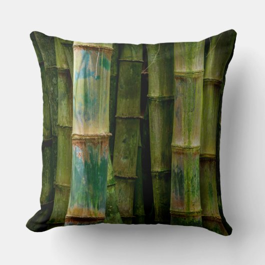 マウイの竹林 クッション (正面)