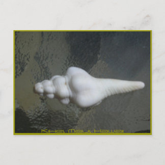 マウイの紡錘の貝、 ポストカード