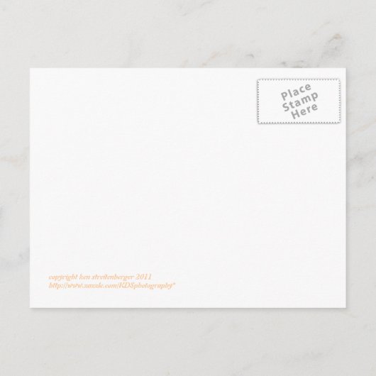 マウイサンセットビーチウォーカー葉書 ポストカード (裏面)