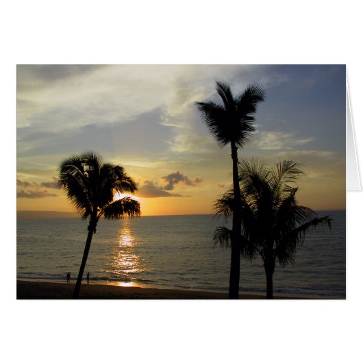 マウイサンセット2 (正面横)