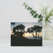 マウイサンセット ポストカード (スタンド正面)