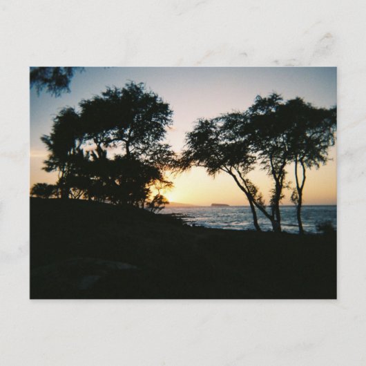 マウイサンセット ポストカード (正面)