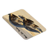 マウイシータートルズ マグネット (右側)