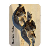 マウイシータートルズ マグネット (縦)