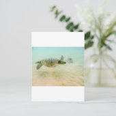 マウイハイビーチカメ2014 ポストカード (スタンド正面)