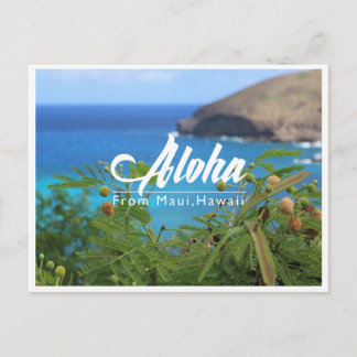 マウイハワイのはがきで美しい緑と青 ポストカード