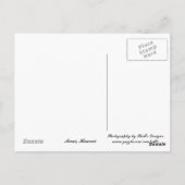 マウイハワイ海ビュー ポストカード (裏面)