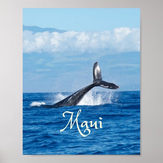 マウイハワイ海ホエールテール ポスター (正面)