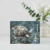 マウイハワイ海亀はがき ポストカード (スタンド正面)