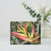 マウイハワイ花葉書 ポストカード (スタンド正面)