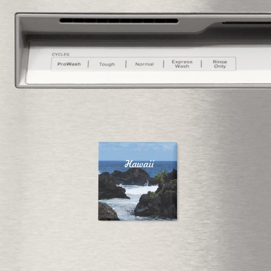 マウイハワイ マグネット (インサイチュ (食洗機))