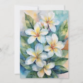 マウイプルメリア シーズンカード (正面)