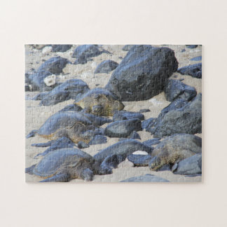 マウイ島のウミガメ ジグソーパズル