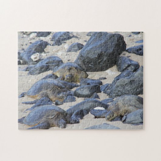 マウイ島のウミガメ ジグソーパズル (横)