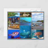 マウイ海センター ポストカード (正面/裏面)