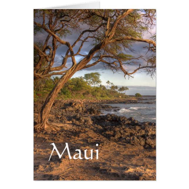 マウイ海ビュー (正面)