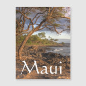 マウイ海ビュー (正面)