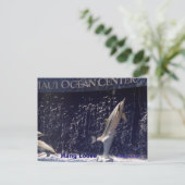 マウイ海ルーズつるス ポストカード (スタンド正面)